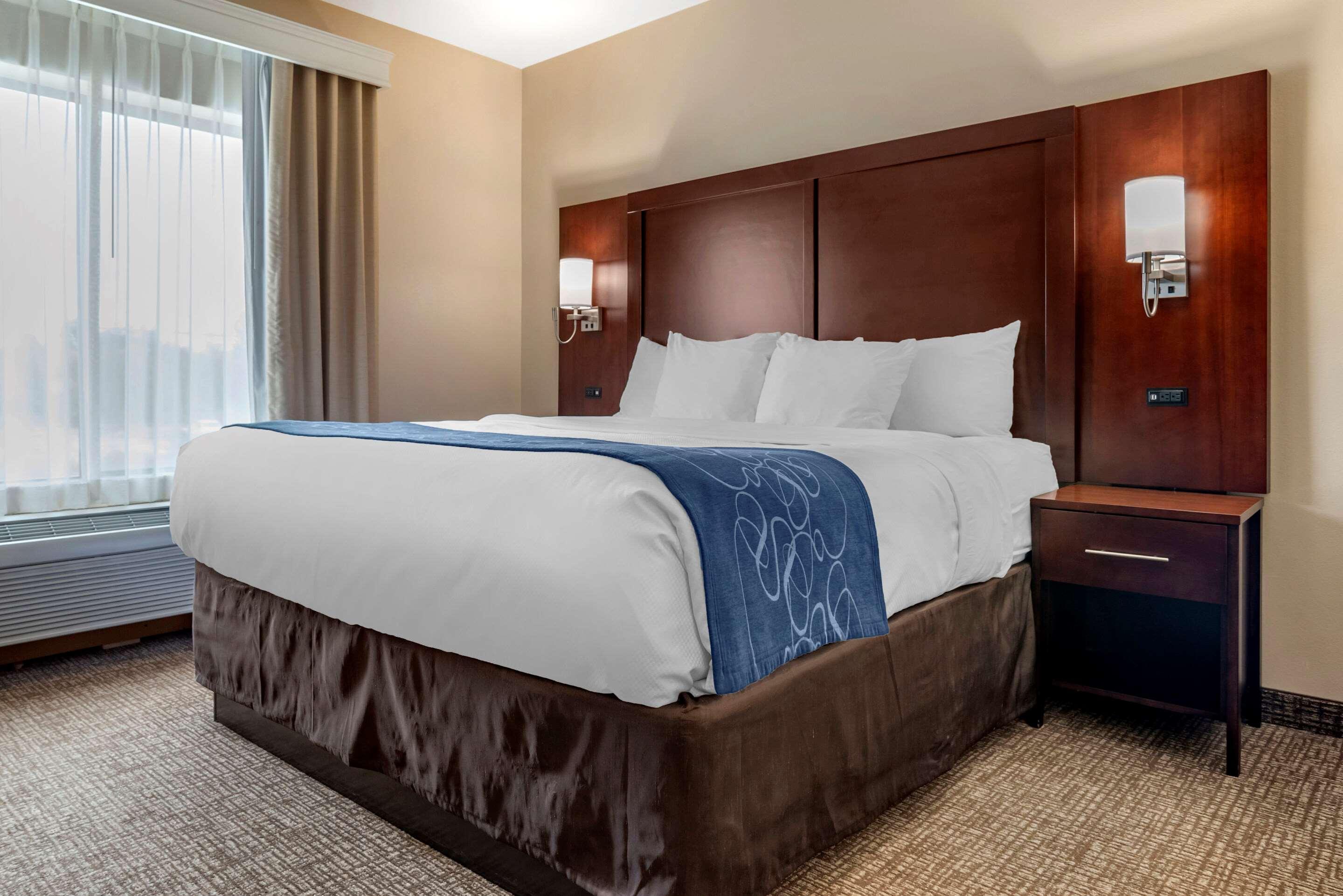 Comfort Suites Pell City I-20 Exit 158 Eksteriør billede