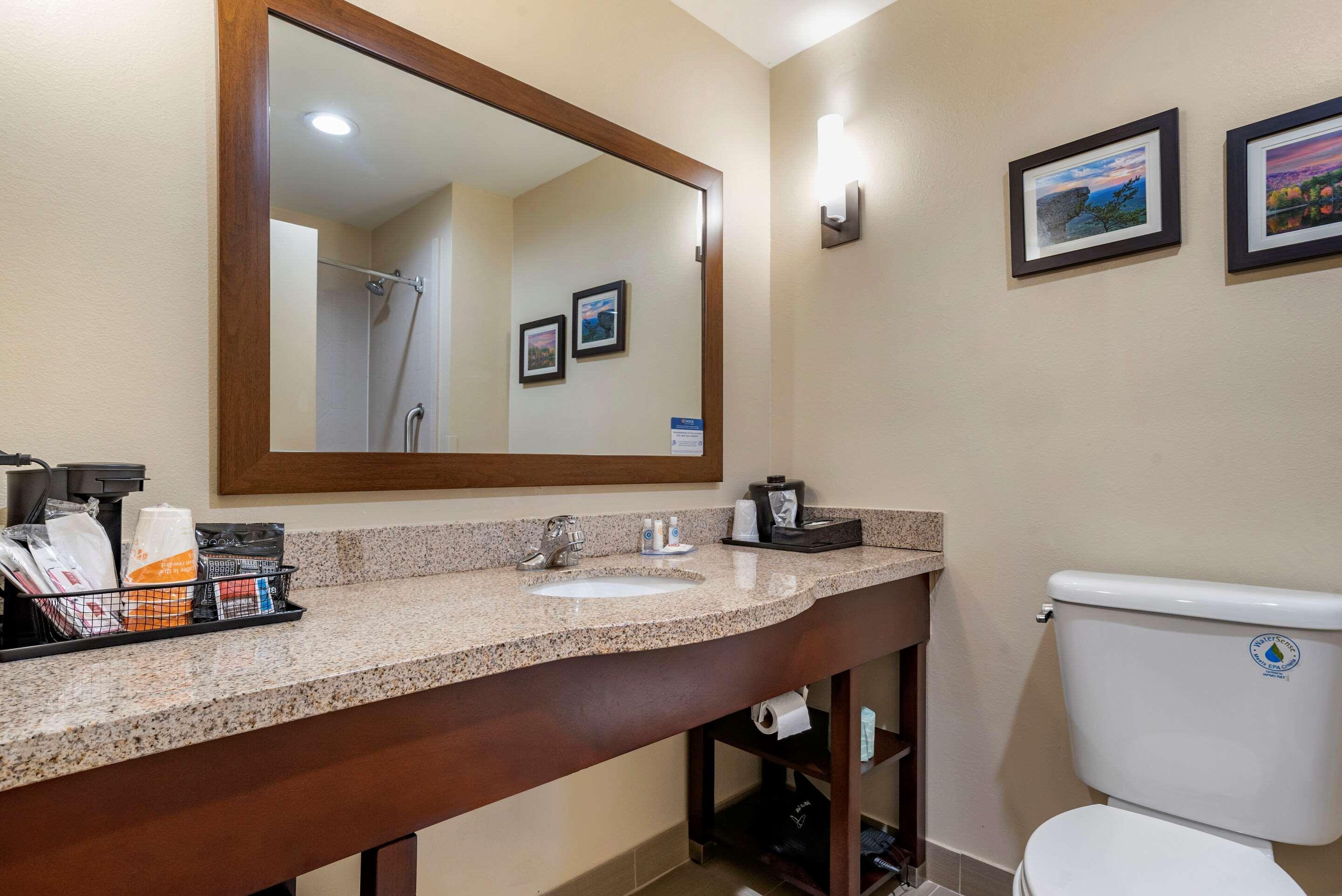 Comfort Suites Pell City I-20 Exit 158 Eksteriør billede