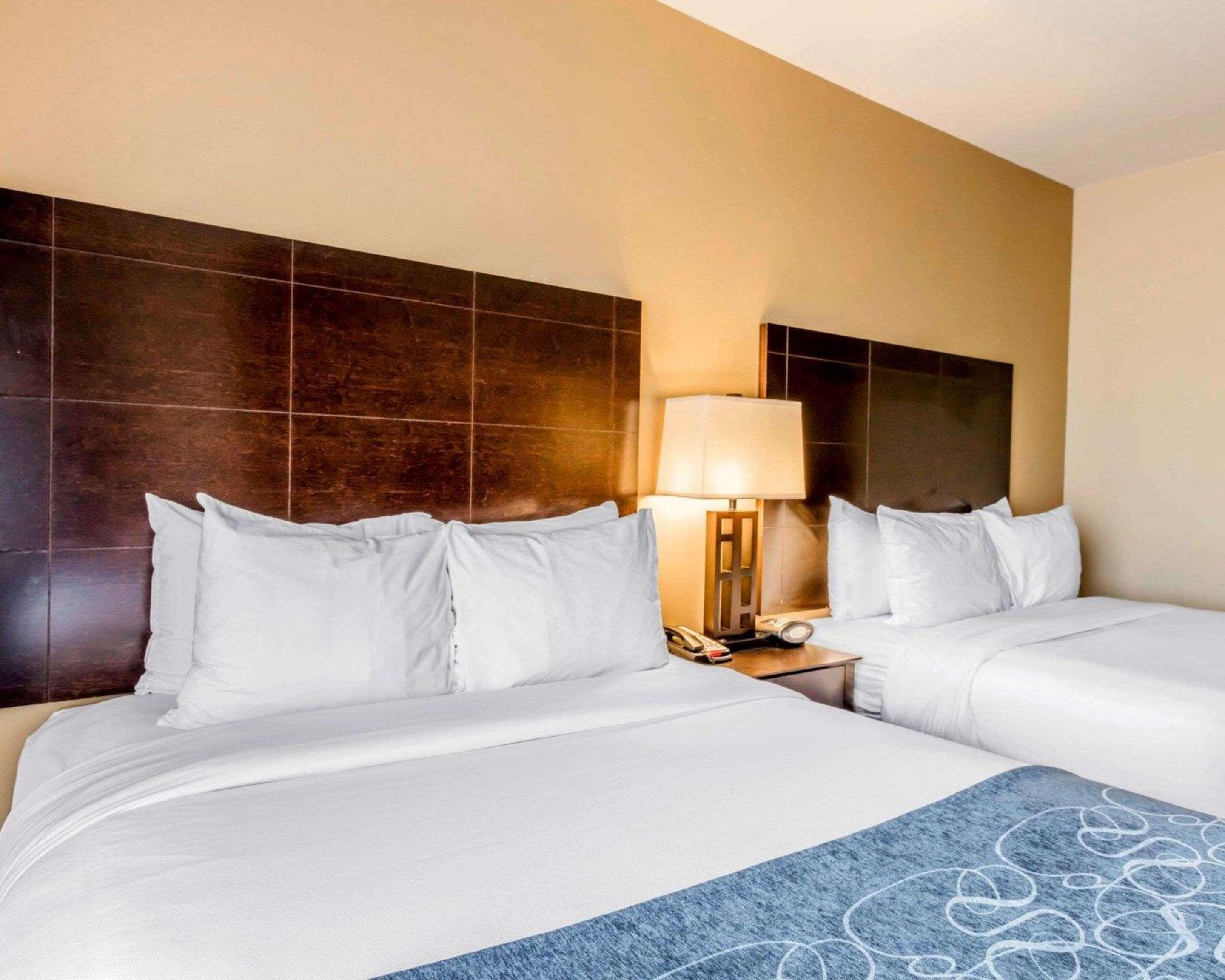 Comfort Suites Pell City I-20 Exit 158 Eksteriør billede
