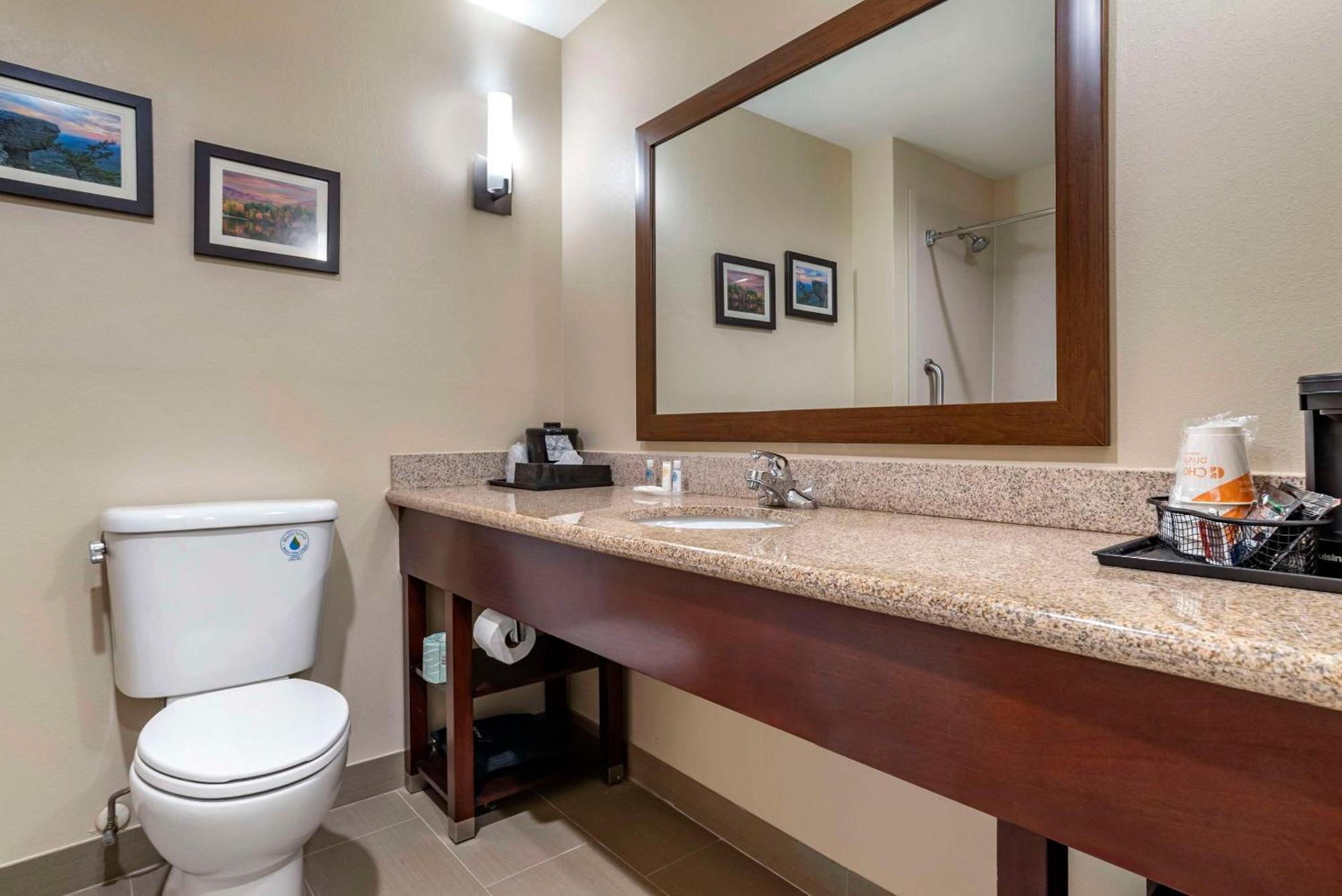 Comfort Suites Pell City I-20 Exit 158 Eksteriør billede
