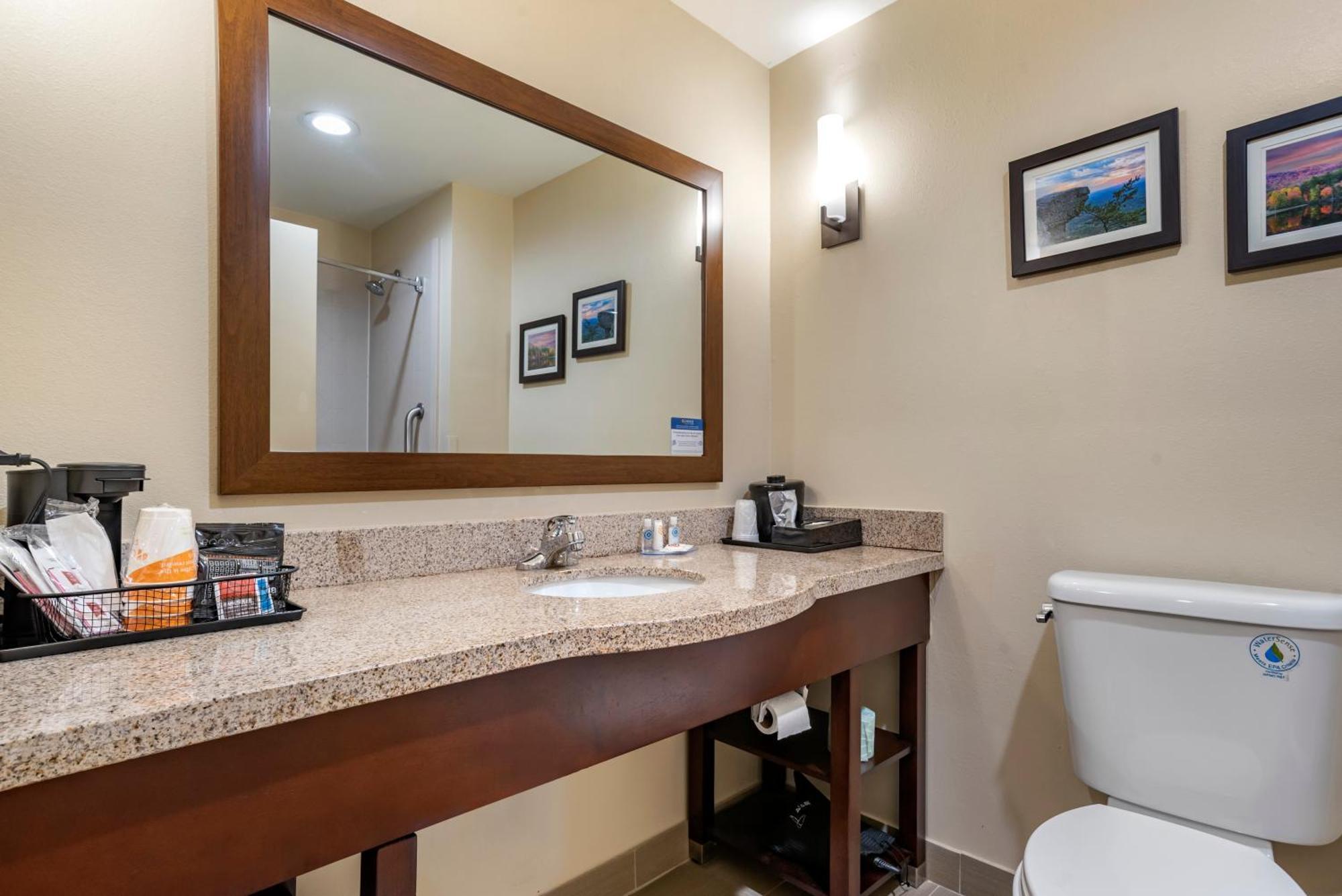 Comfort Suites Pell City I-20 Exit 158 Eksteriør billede